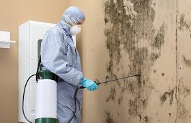 Best Forensic Mold Investigation in Centreville, MD